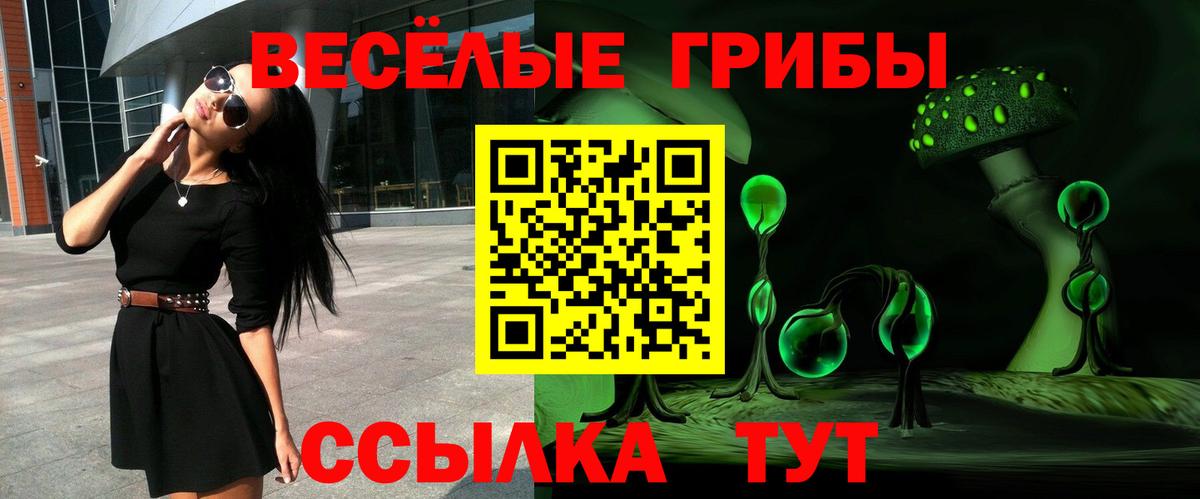 Псилоцибиновые грибы GOLDEN TEACHER  Вход с VPN  Галлюциногенные грибы MAGIC MUSHROOMS  Рубцовск 